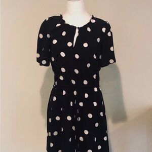 Ann Taylor Loft Blue/white polka dot women size Med dress